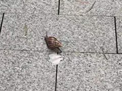 -厦门悦华酒店