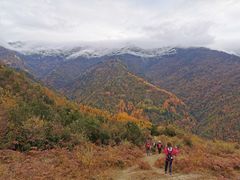 -卧龙自然保护区