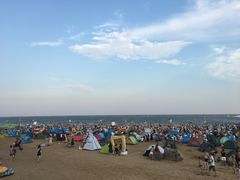 -碧海金沙