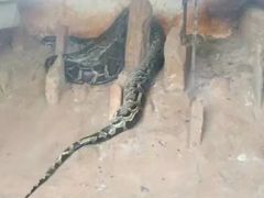 -昆明动物园