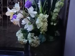 -陆琴脚艺·足浴·SPA(夫子庙店)
