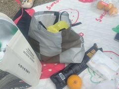 -南翔镇银翔湖公园