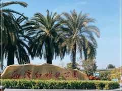 -宝安西湾红树林湿地公园