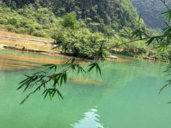 -靖西鹅泉风景区