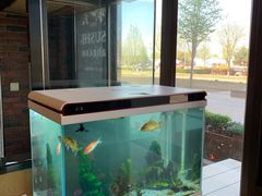 -早一美餐厅·EBISU(会展誉景店)