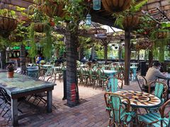 -The Grounds of Alexandria