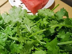 -玫瑰花园自助烤肉(顺义鑫海韵通店)