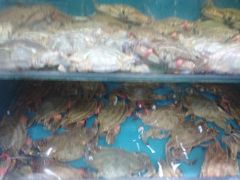 -小铜锣湾海鲜家常菜馆(河西店)