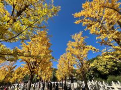 -晋祠公园