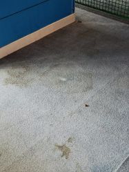 -幻贝家儿童乐园(苏州中心店)