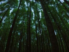-山王坪喀斯特国家生态公园