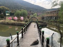-无锡动物园·太湖欢乐园