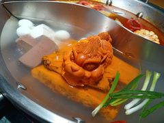 -潮辣成都老火锅(奉贤扶港路店)