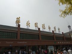 -白洋淀景区