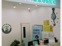 -中农国际动物医院24小时·猫科·骨科·急重症中心