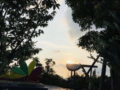 -金鸡山公园