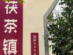 -茯茶镇