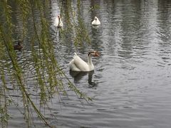 -中家鑫园温泉酒店鑫悦汤泉