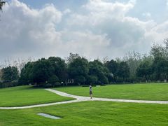 -合肥滨湖国家森林公园