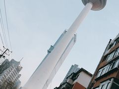 -辽宁电视塔