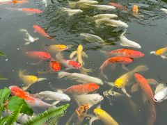 -李小龙乐园(顺德均安店)