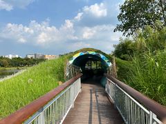 -福田红树林生态公园