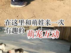 -前小桔亲子创意农场·草莓采摘·露营烧烤