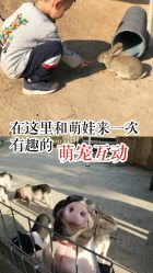 -前小桔亲子创意农场·草莓采摘·露营烧烤