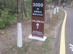 -分塔山省级森林公园