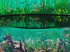 -中国湿地博物馆