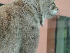 -青藏高原野生动物园