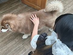 -时间逆·烘焙