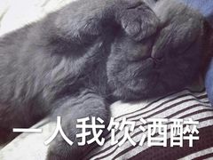 -上和臻品中国菜(花园街店)