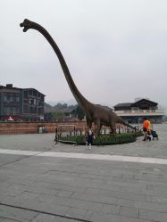 -恐龙探索乐园(磁器口店)