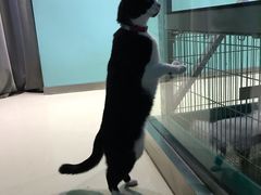 -雨林宠物医院 非犬猫异宠专科