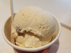 葡萄兰姆酒冰淇淋-哈根达斯(天河城店)