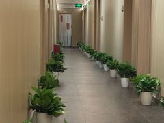 -青曼SPA·按摩·采耳·足道(龙之梦店)