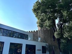 -J Create城市露营咖啡·简餐·宠物(上海动物园店)