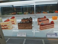 -TD66高山铁皮石斛养生茶饮