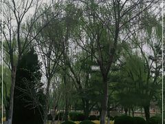 -燕郊植物园