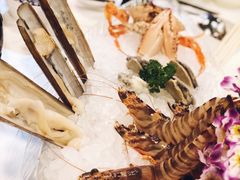 -鲜入围煮花胶鸡海鲜火锅