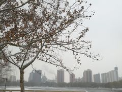 -莲花池公园