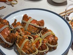 -杨氏青龙虾·羊蝎子(托乐嘉店)