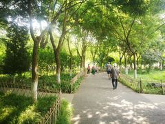 -丰台科技园生态主题公园