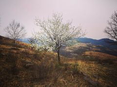 -北京灵山风景区
