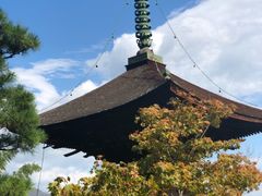 -常寂光寺
