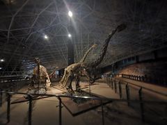 -世界恐龙谷景区