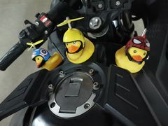 -咖啡之翼(奥特莱斯店)