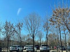 -南宫五洲植物乐园