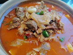 -洞庭家宴·头牌甲鱼(广渠门店)